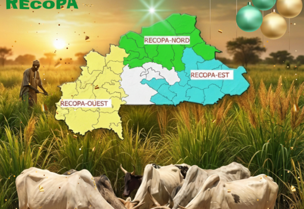 Carte de Vœux 2026 Marque Agence Marketing Mode Photos